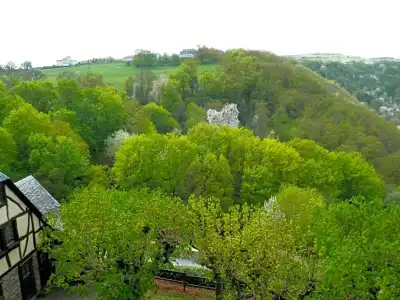 BurgAuf Schönburg - 37