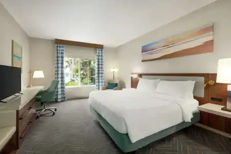 Hilton Garden Inn Carlsbad Beach - 106