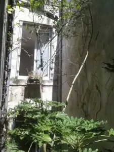 Hôtel La Marine - 23