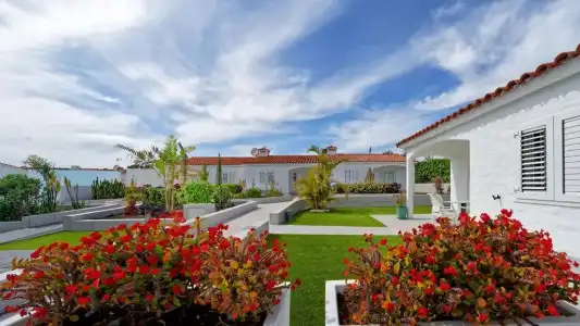 Bungalows Adonis - 7
