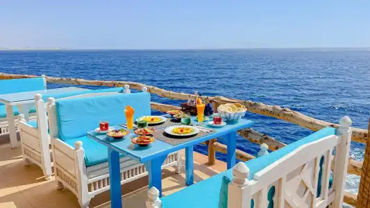 Sharm Reef - 37