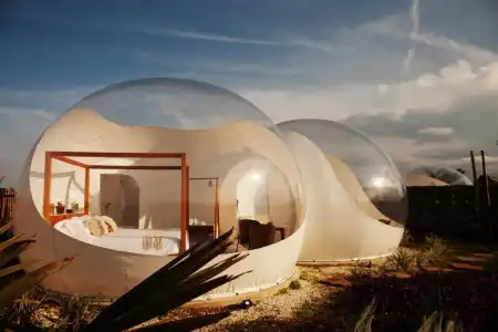 Green Land Bubble Glamping - 24