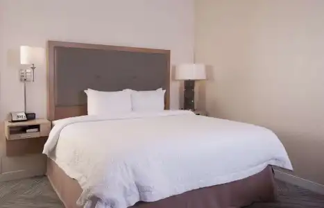 Hampton Inn & Suites by Hilton Augusta-Washington Rd - 48