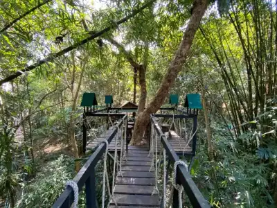 Khao Sok Tree House - 27