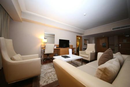 Anemon Grand Konya Otel - 4