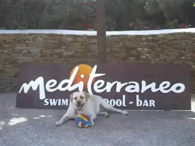 Mediterraneo - 10