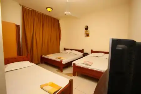 Bedouin Garden Village, Dive - 53