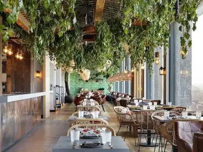 Treehouse London - 10