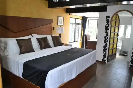 Boutique La Mansion Guadalajara - 80