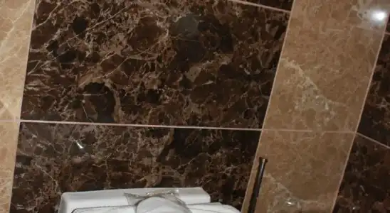 Divan Palace - 6