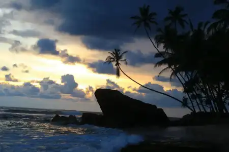 Sayura Beach - 22