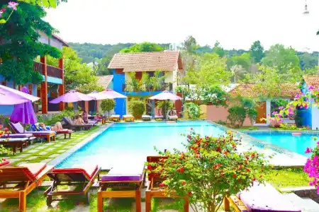 Daisy Resort - 42