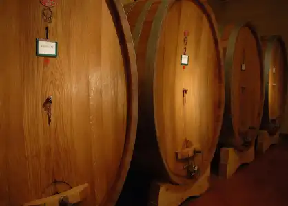 Tenuta Moriano - 10