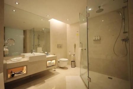 Holiday Inn Mumbai International Airport by IHG - 132