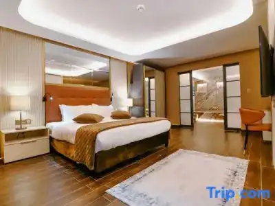 Petra Moon Luxury - 50