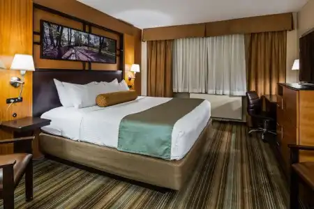 Best Western Queens Gold Coast - 32