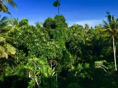 Tirta Arum - 44
