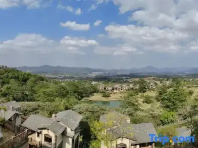 Tranquil Shores Holiday Apartments - 262