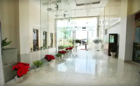 Hoa Bao - 9