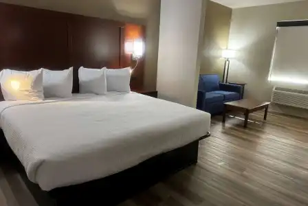 Wingate by Wyndham College Station South - 87