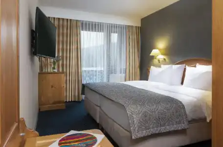 Maritim TitiseeTitisee-Neustadt - 169