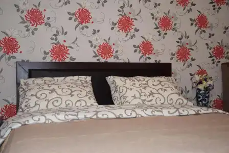 Voskhod - 36