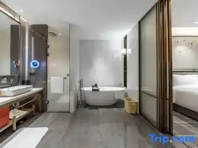 HUALUXE Xi an Chanba by IHG - 142