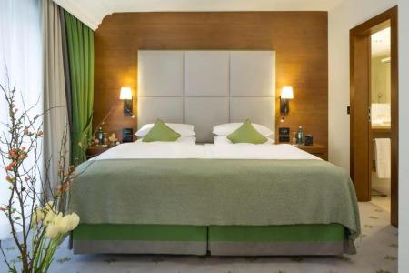 Hilton Frankfurt Gravenbruch - 56