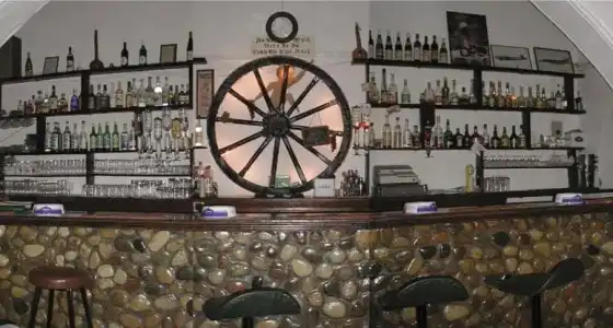 The Bunch of Grapes Inn - 0