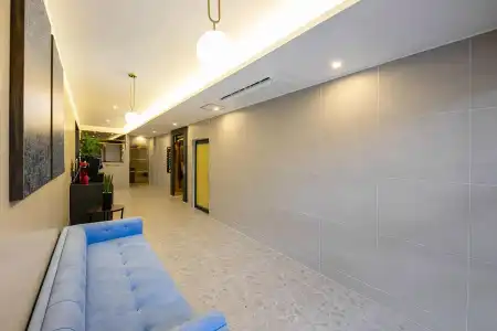 Brown Dot Sasang Renecite - 9