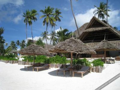 Zoi Retreat Zanzibar - 17