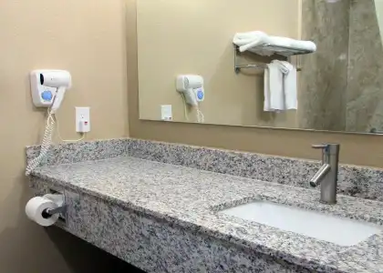 Quality Inn & Suites Lubbock South - 9