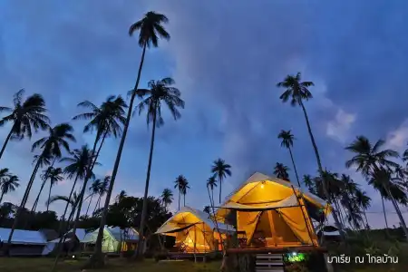 Naivacha Tent Koh Mak - 24