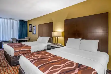 Rodeway Inn Clearwater - Central - 66