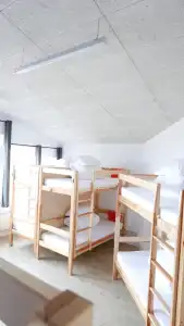 Snotra Hostel - 17