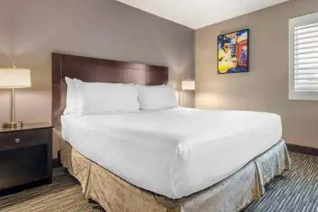 Best Western McCarran Inn - 5