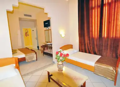 Hôtel Les Palmes d'Or - 46