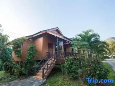 Khaosok Rainforest Resort - 125