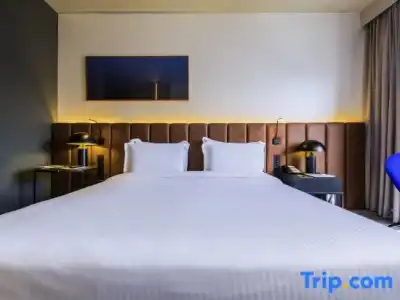 Pullman Sao Paulo Ibirapuera - 80