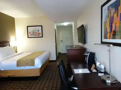 Comfort Inn & Suites - 37