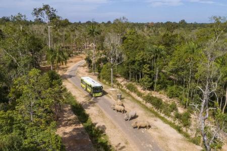 Vinpearl Discovery 3 Phu Quoc - 27