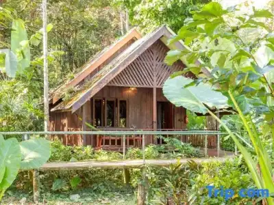 Khao Sok Riverside Cottage - 113