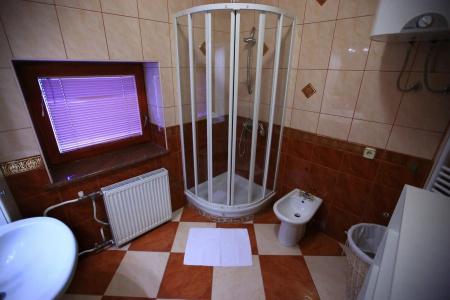 Guesthouse Stari Tišler - 8
