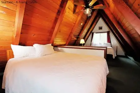 Park Motel and Cabins - 269