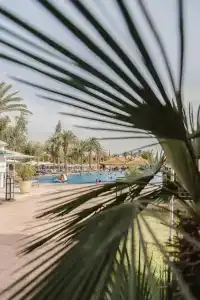 Kenzi Menara Palace & Resort - 29