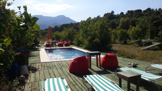 Sun Dalyan & Yeni Adet Organic - 15