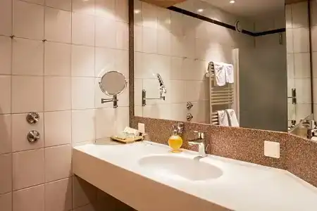 Best Western Premier Rebstock - 51