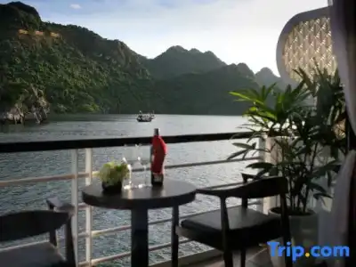 V'Spirit Cruises - 35