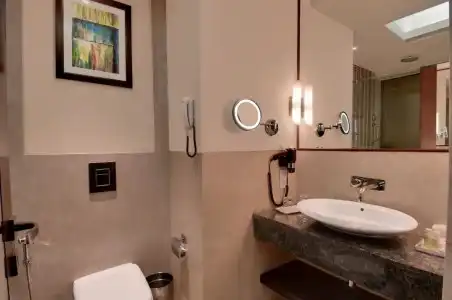The Golden Palms & Spa Delhi - 27