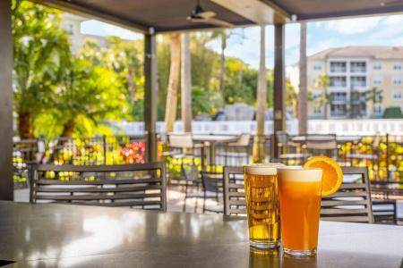 Sheraton Vistana Villages Resort Villas, I-Drive/Orlando - 25